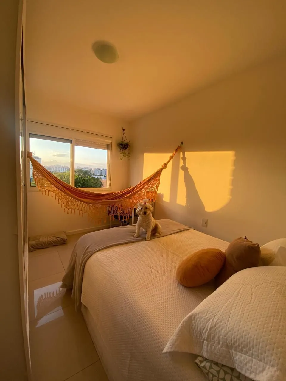 Imagem Excelente apartamento de 02 dormitórios com suíte na região central