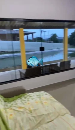 Imagem CHÁCARA JARDIM CANANÉIA COM LAGO
