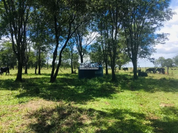 Imagem Oportunidade! Fazenda à venda em Conceição das Alagoas