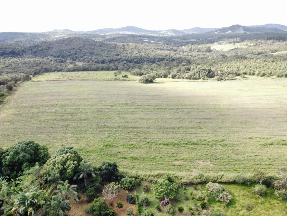 Foto do imóvel FAZENDA DE ALTO PADRÃO À VENDA - CARMO DO CAJURU (MG) 120 hectares de área total
