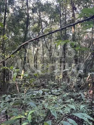Imagem Área para venda em Taquara, Fazenda Fialho - 4.300m²