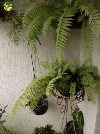 Imagem APARTAMENTO PARA VENDA NA VILA GUILHERME
