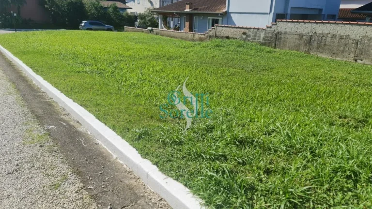 Imagem Terreno à Venda em Horto Florestal - São Paulo/SP.