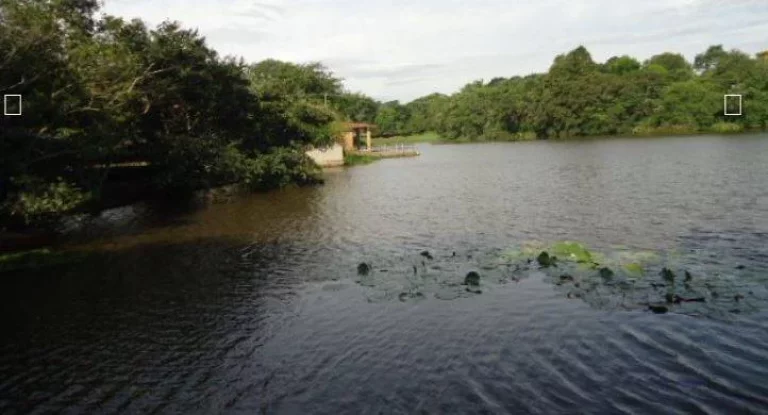 Imagem Fazenda 95 Alqueires São Carlos SP plantação de cana!!!