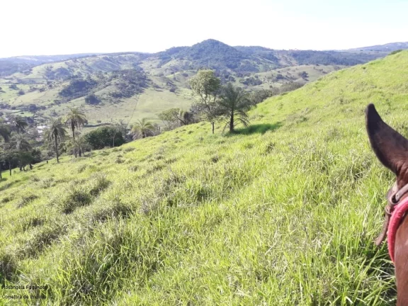 Imagem FAZENDA RURAL em SÃO JOÃO DA BOA VISTA - SP, CENTRO