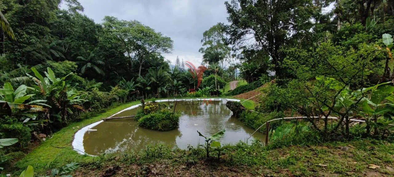 Imagem SITIO EM BLUMENAU, DOCUMENTAÇÃO TUDO OK ESTRUTURA DA CASA COM 8 CAMINHOES DE CONCRETO