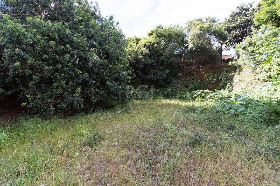 Imagem Terreno para Venda - 0m², 0 dormitórios, Tristeza