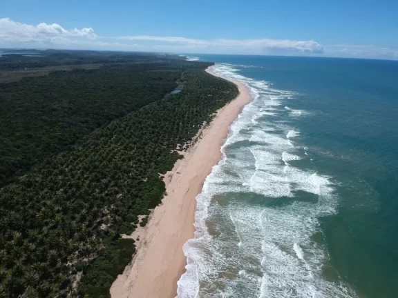 Imagem Paraíso frente mar