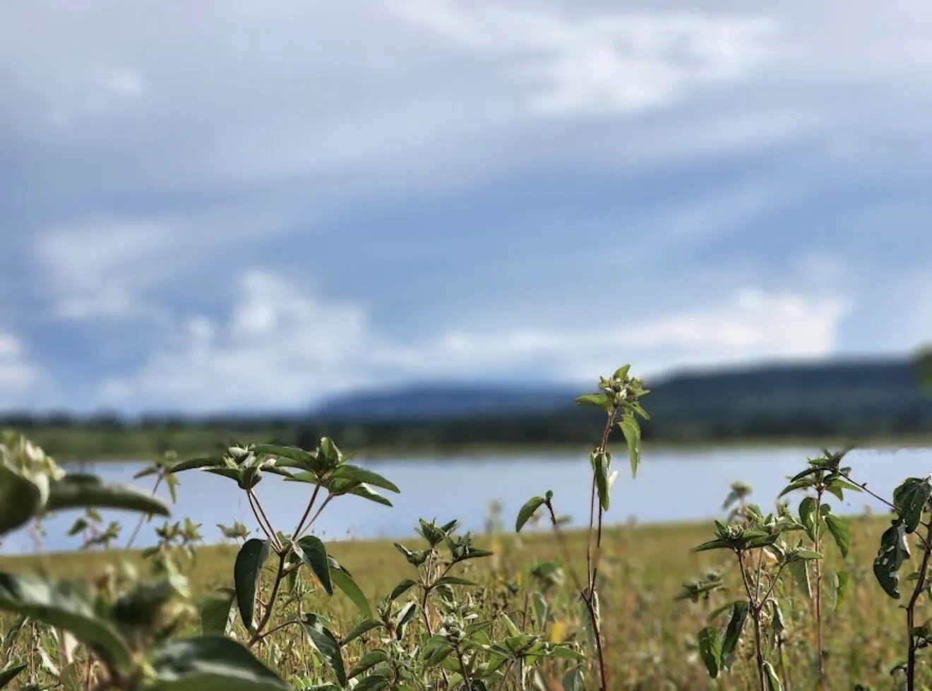 Imagem Terreno Condomínio Xaraes