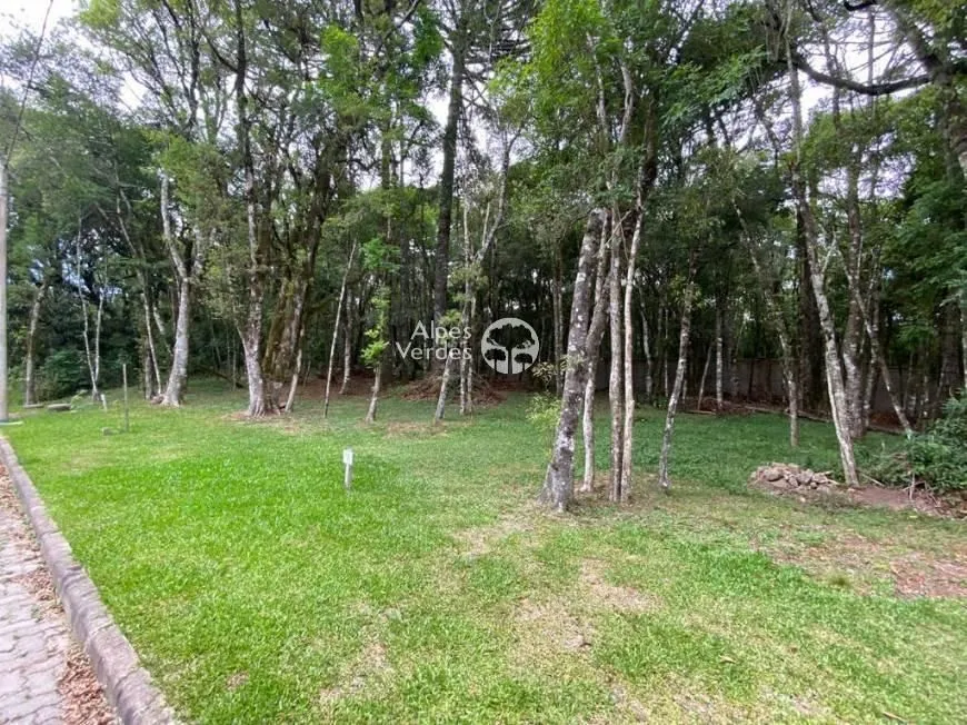 Imagem Terreno em Condomínio, 450m2, à venda em Canela, Villa Magi