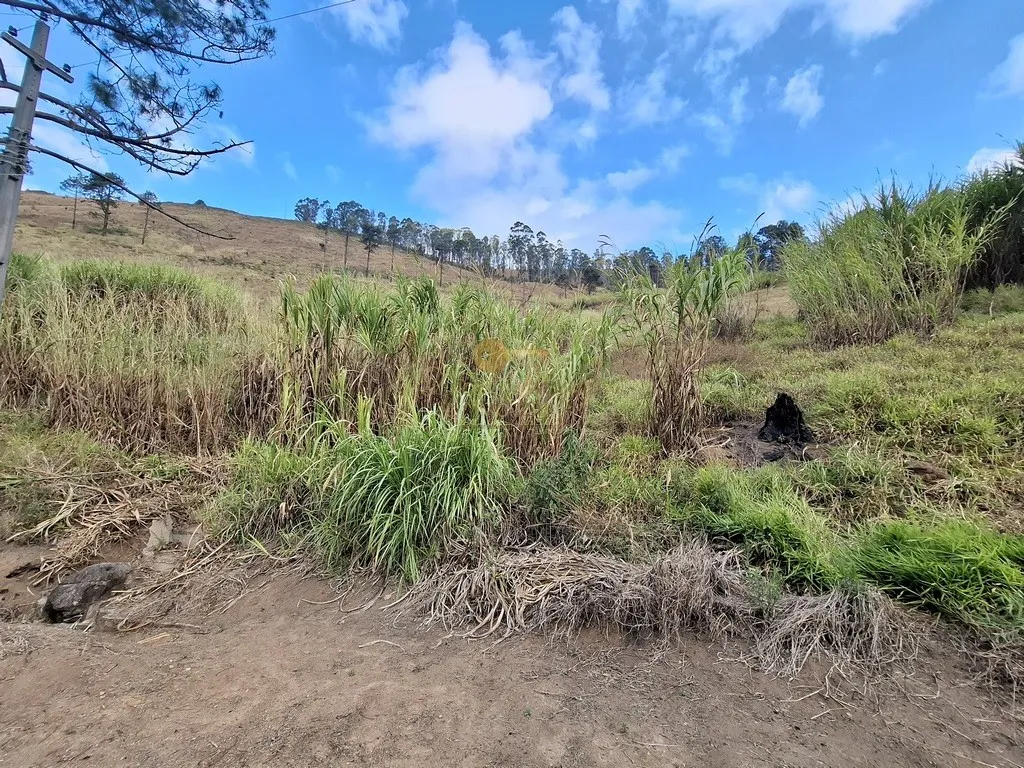 Imagem Terreno para Venda em Teresópolis / RJ no bairro Fazenda Suiça