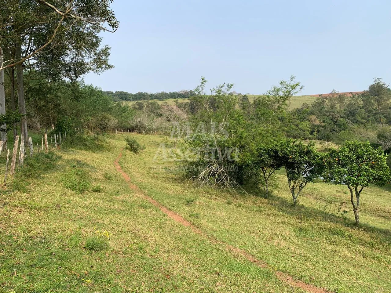 Imagem Chácara para venda em Lomba Grande, Novo Hamburgo - 2 hectares