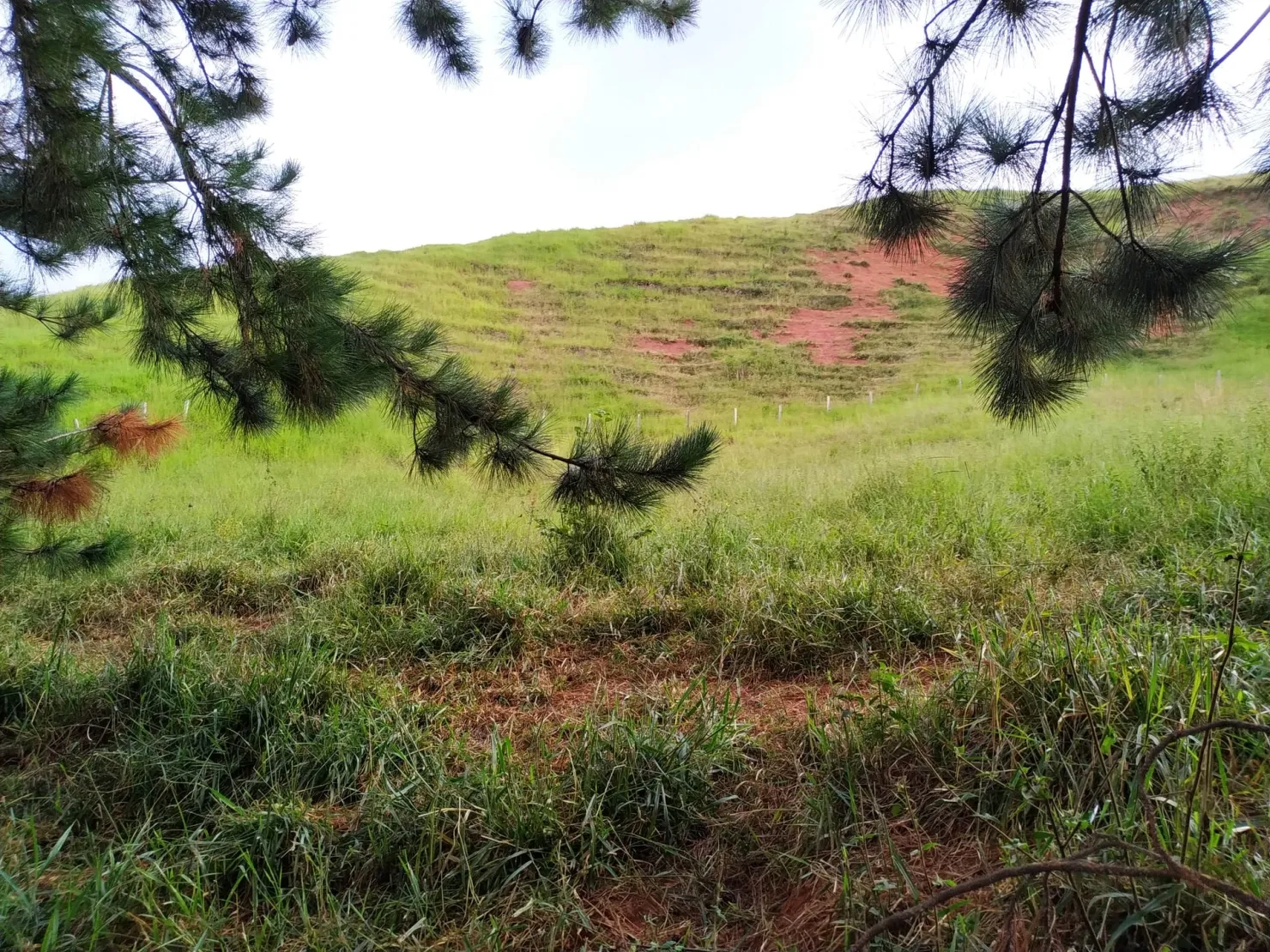 Imagem Chácara à venda 30000M², Zona Rural, Silveiras - SP