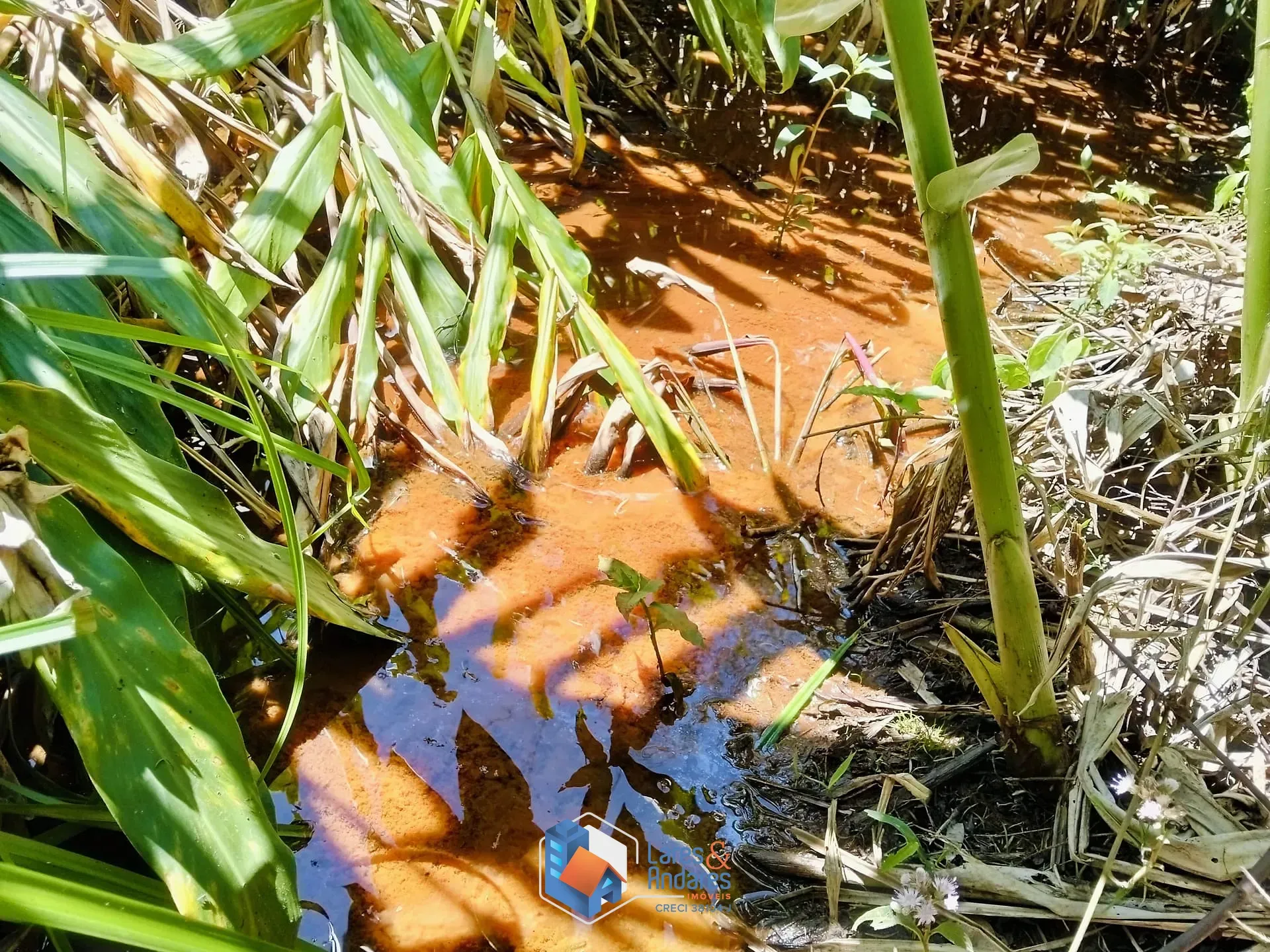 Imagem ARRENDAMENTO DE SITIO COM NASCENTE, ÁREA PARA PLANTIO, CASA COM 3 DORMITÓRIOS, CASEIRO, COM MAIS DE 40.000 METROS IDEAL PARA ONGS - SÃO LOURENÇO DA SERRA.