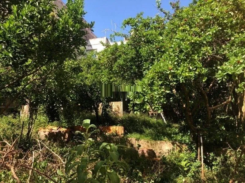 Imagem Terreno amplo com 8,80m²x63,50m² de área total, excelente localização no Bairro Petrópolis