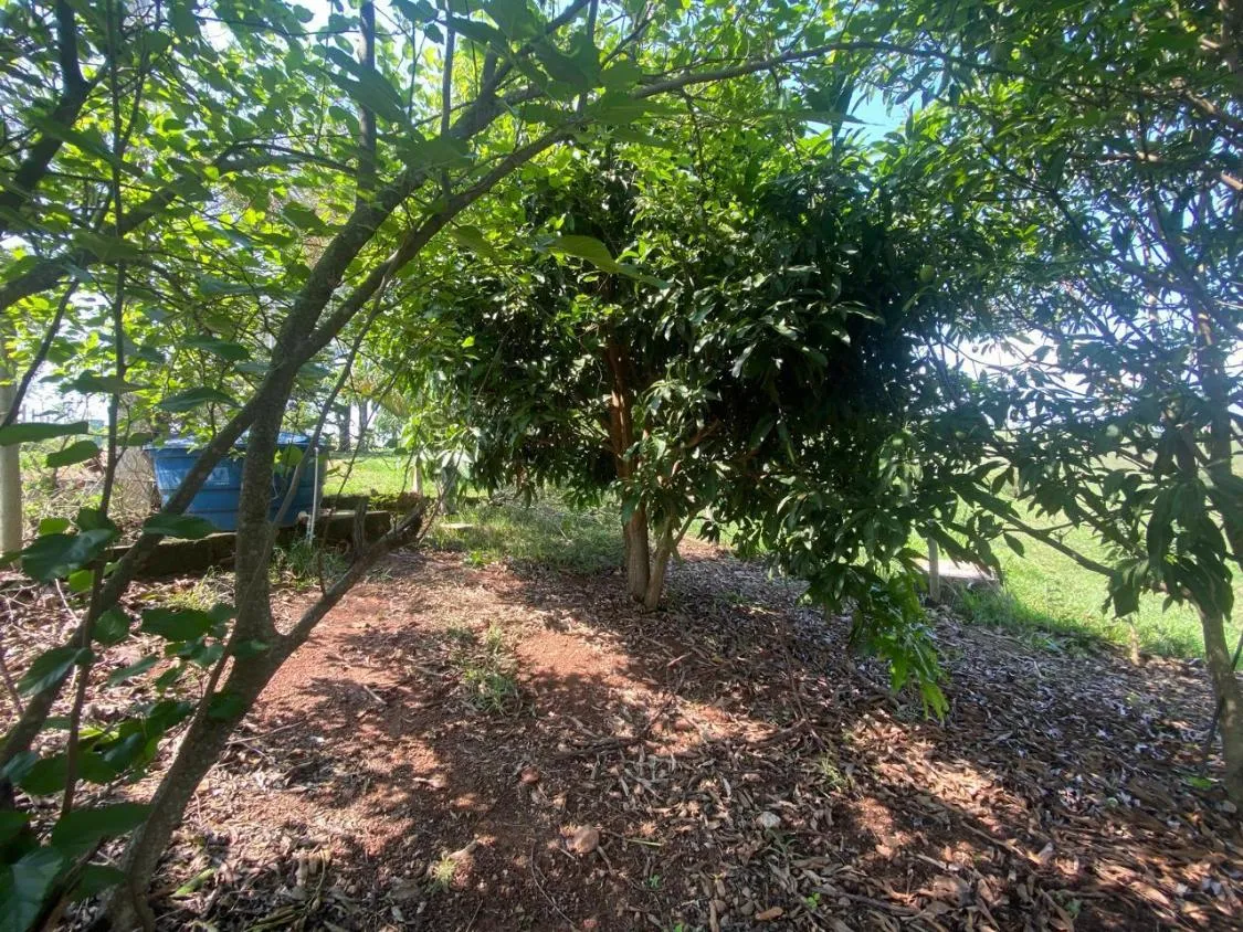 Imagem Lindo sítio à venda em Rio Manso/MG , com 20.000 m² de terra