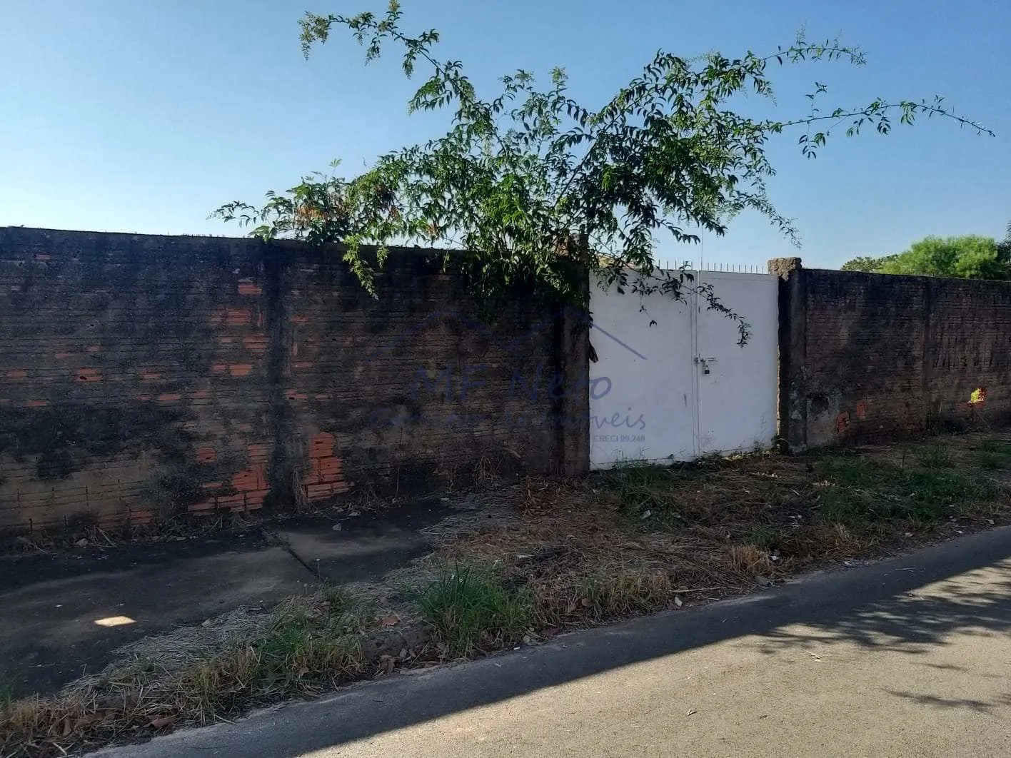 Imagem Terreno Padrão