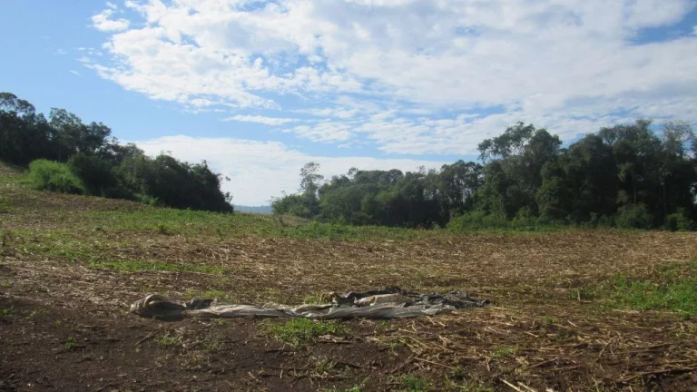 Imagem Área Agrícola para Venda em Concórdia, Barra do Pinhal