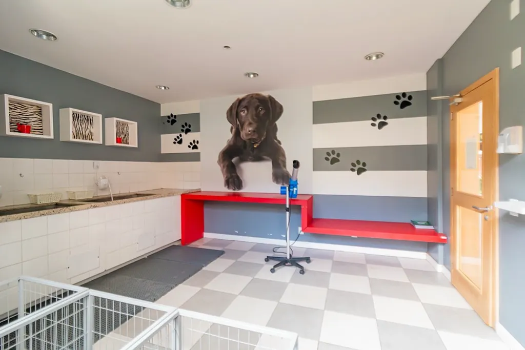 Imagem Apartamento em Passo da Areia