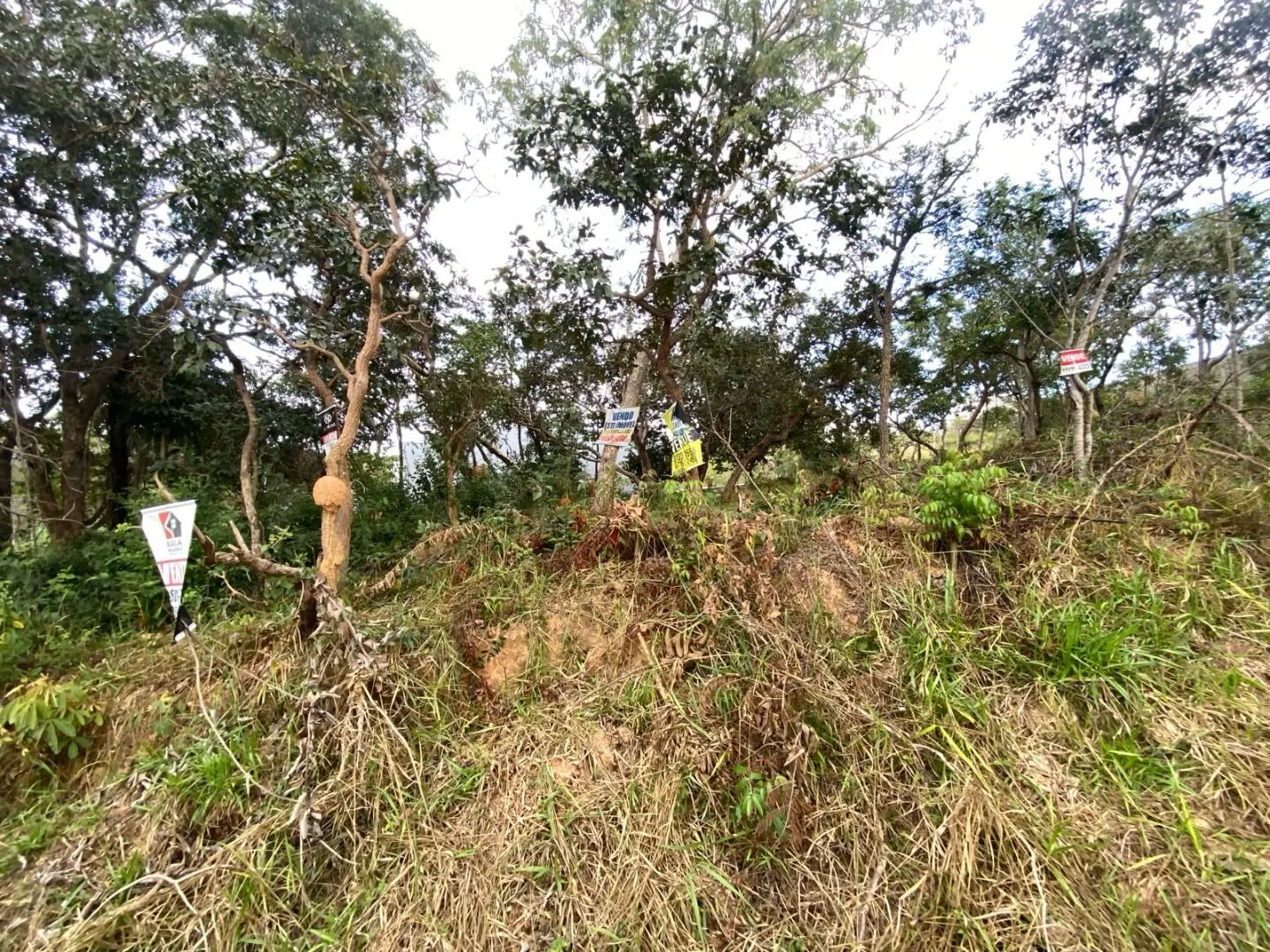 Imagem Terreno à venda, 533 m² por R$ 300.000,00 - Vila Paradiso - Lagoa Santa/MG