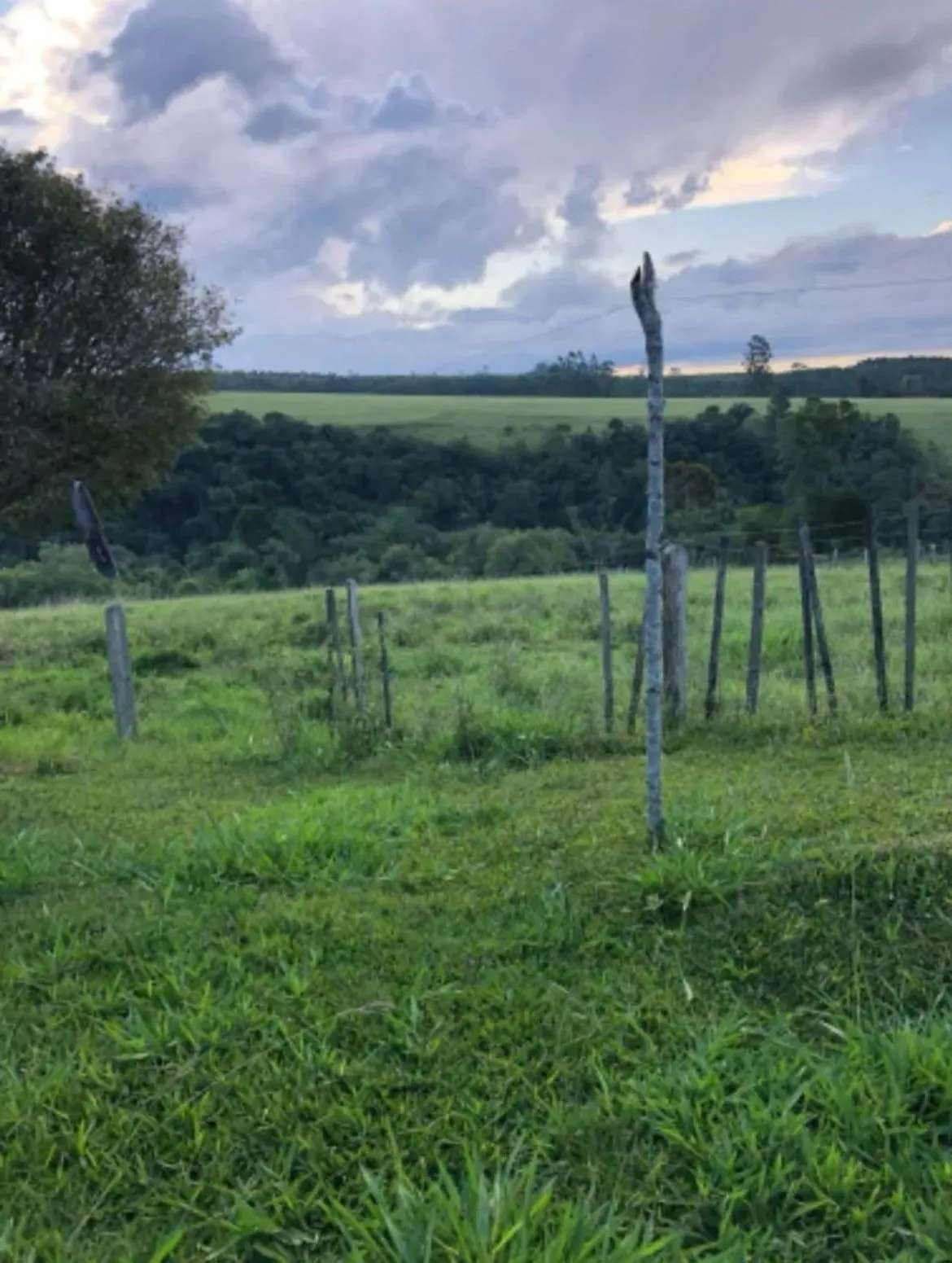Imagem Propriedade incrível à venda em São Miguel Arcanjo - Potencial Produtivo e Lazer em Meio à Natureza