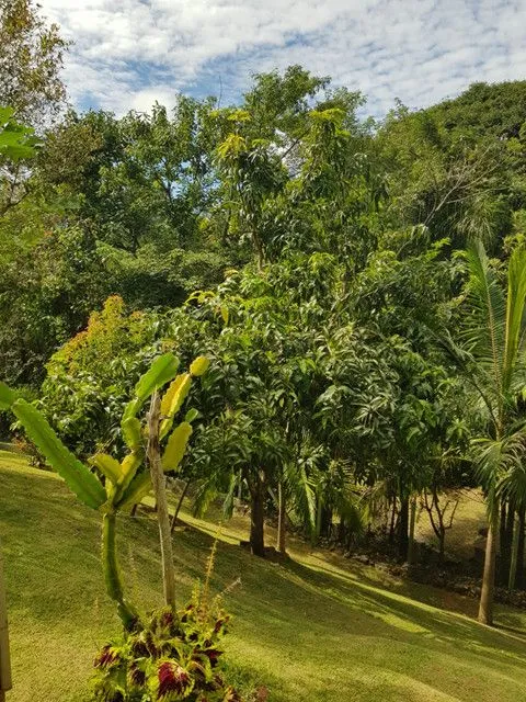 Imagem Casa de condomínio fechado em Serra Negra