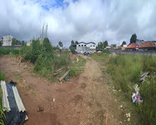 Imagem Área em Pinhais PR, murada e aterrada, contendo 5.000 metros quadrados