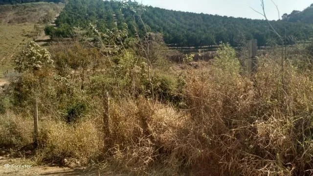 Imagem Terreno para Venda em Socorro / SP no bairro Camanducaia do Meio