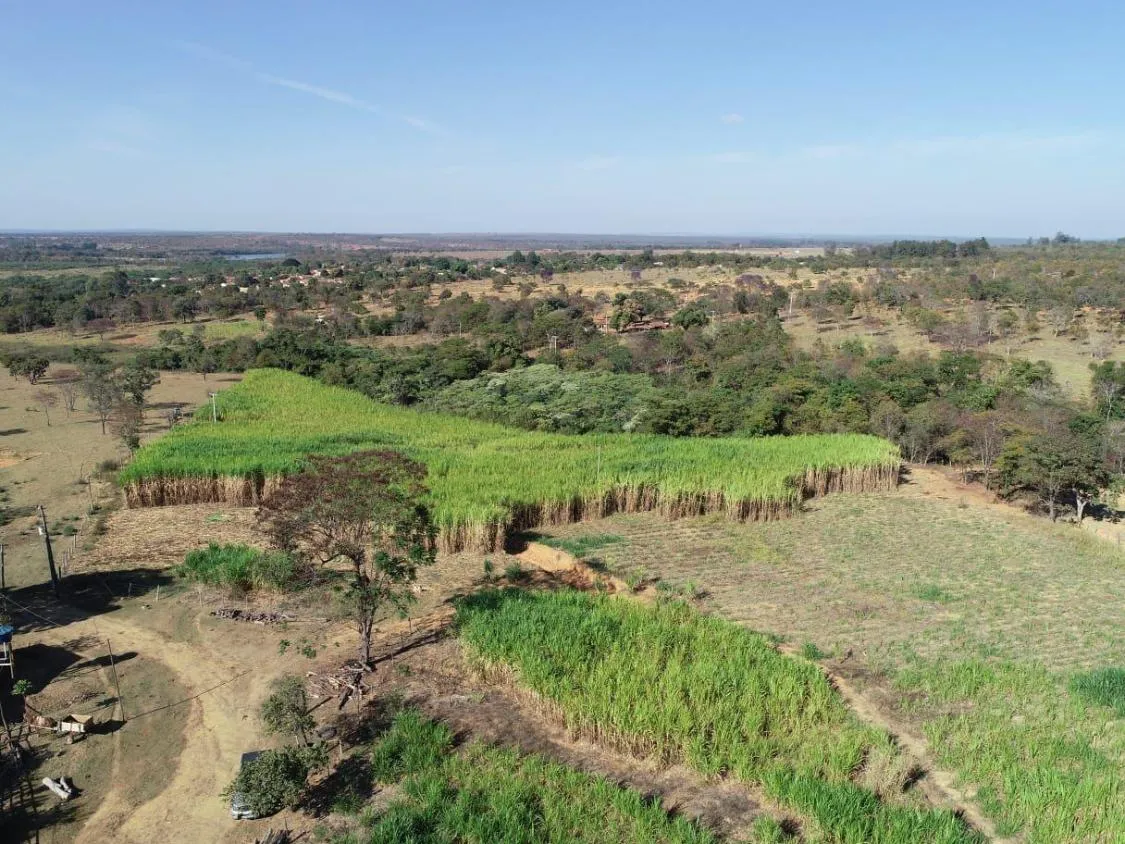 Imagem Vendo em Felixlândia/MG / 97 Hectares de terra