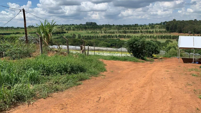 Imagem Sítio Braganca Paulista 5 alqueires plano!