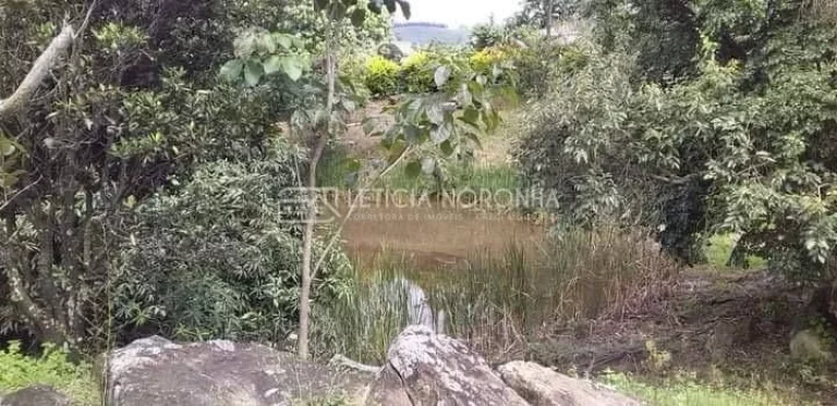 Imagem Fazenda a venda