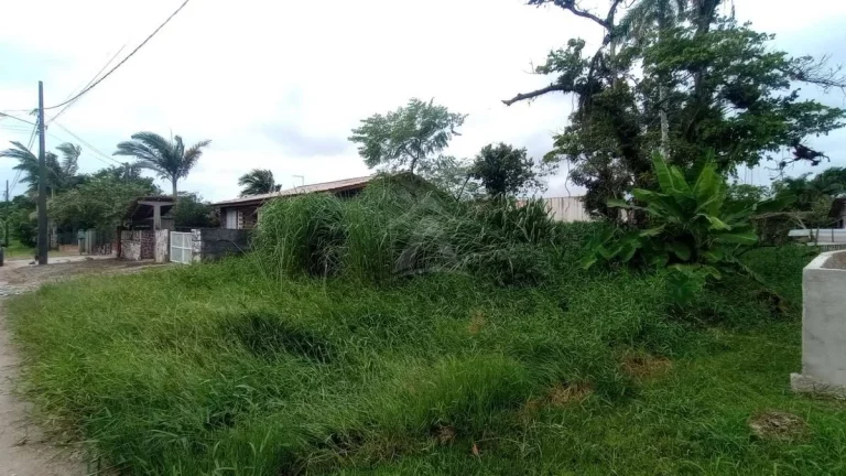 Imagem TERRENO, 592M², BALNEÁRIO DAS PALMEIRAS