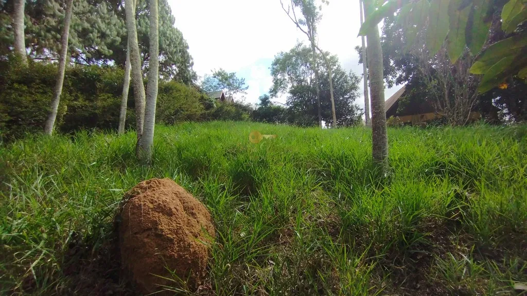 Imagem Terreno em Condomínio para Venda em Teresópolis / RJ no bairro Green Valley