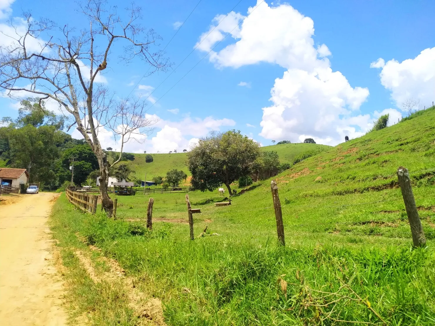 Imagem Chácara à venda 2 Quartos, 411400M², Zona Rural, Cunha - SP