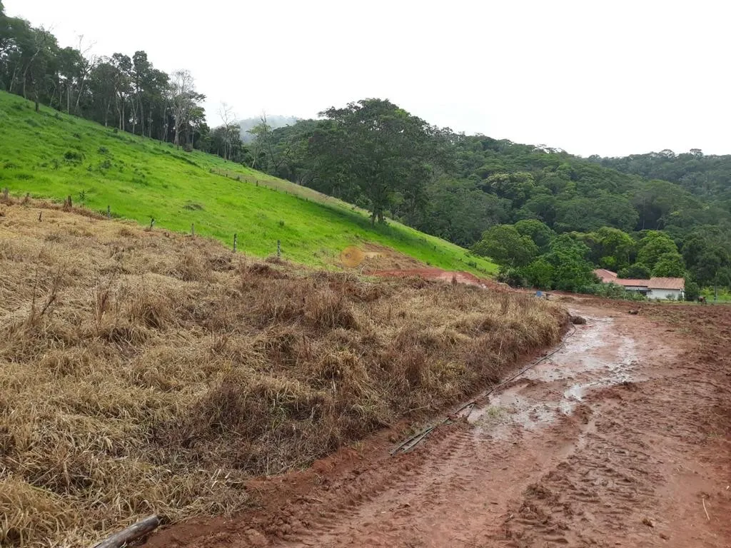 Imagem Sítio para Venda em Sapucaia / RJ no bairro Nossa Senhora da Aparecida