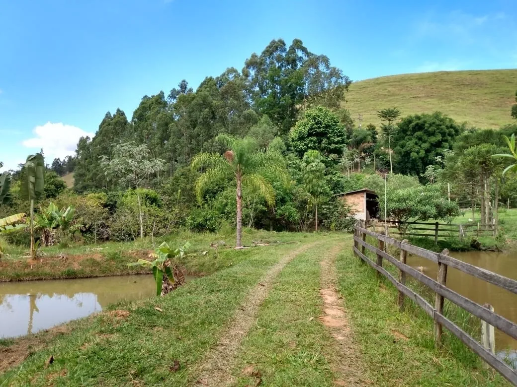 Imagem Chácara à venda 2 Quartos, 135000M², Zona Rural, Piquete - SP