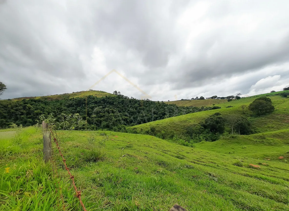 Imagem Sítio 65 m² à venda em Palmeiral, Botelhos