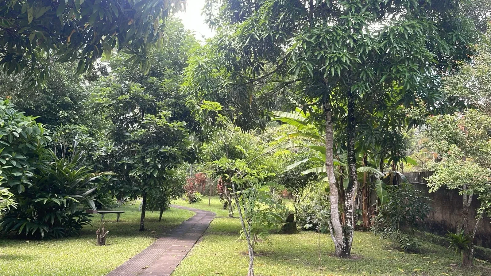 Foto do imóvel: Casa com 5 Quartos à Venda, 220 m² em Aldeia dos Camarás - Camaragibe