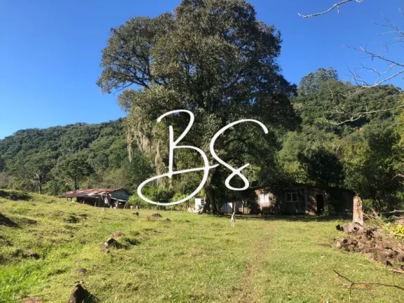 Imagem SITIO RURAL em SÃO FRANCISCO DE PAULA - RS, Padilha