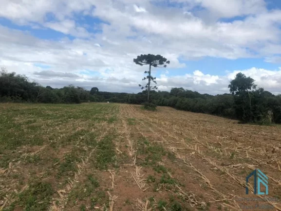 Imagem (PERMUTA) Terreno Industrial/Comercial podendo fazer 12 lotes para construção de 12 Barracões de mil metros cada em Curitiba PR