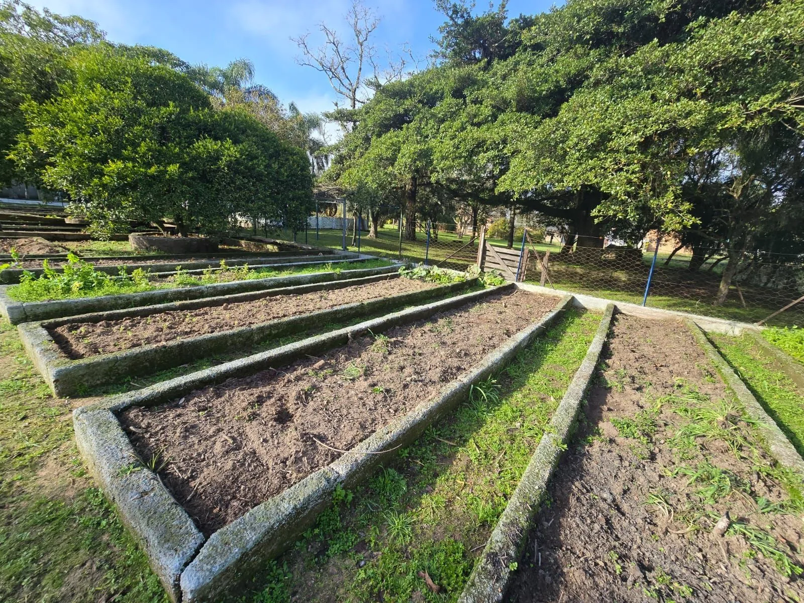 Imagem Sitio na Restinga com 2 casas e ótima oportunidade para investimento