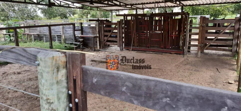 Imagem Fazenda à venda, 1370ha m² por R$ 14.200.000 - Zona Rural - Arinos/MG