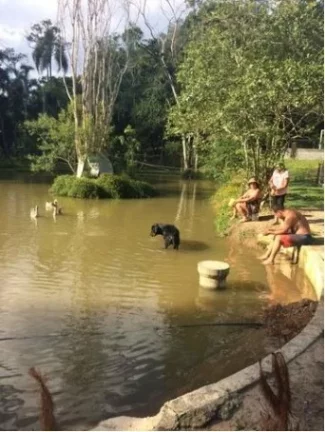 Ótima chácara Arujá casa lago piscina e churrasqueira!