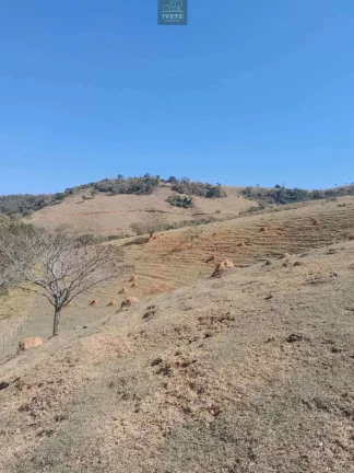 Imagem Terreno incrível para criação de animais e plantio