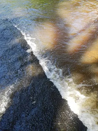 Imagem Terreno à Venda, 1.000 m² em Recanto Das águas  - Igaratá