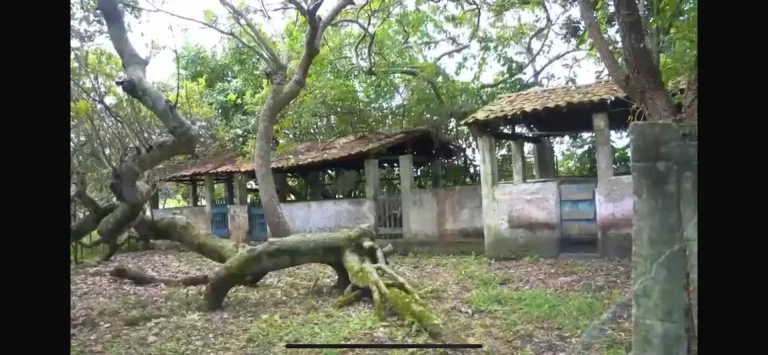 Imagem Linda Granja há 4 km de João Pessoa