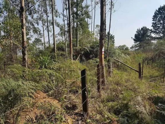 Imagem Área Rural 5 Alqueires - 3 Barras de Cima - Bateias!