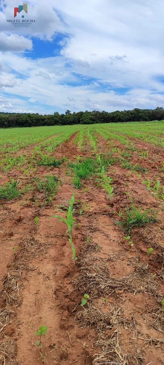 Fazenda a venda São Miguel Arcanjo SP
