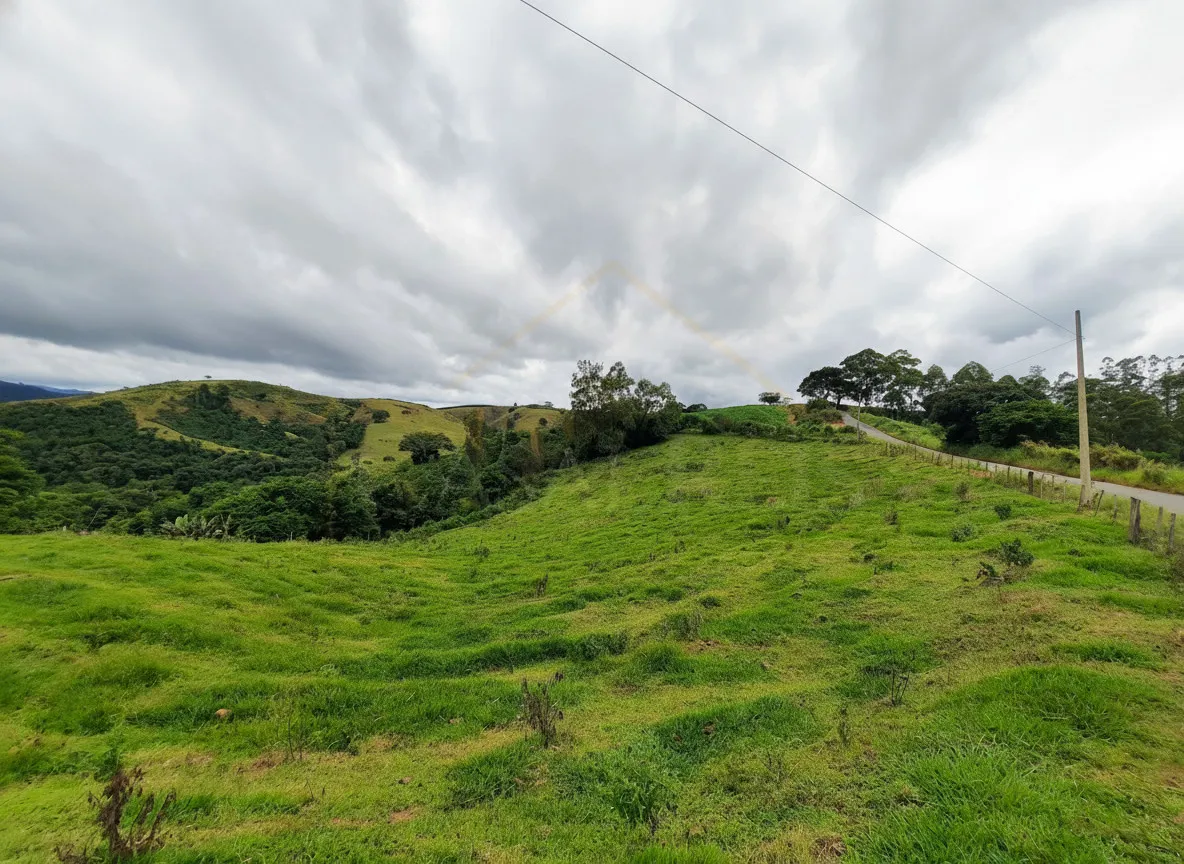 Imagem Sítio 65 m² à venda em Palmeiral, Botelhos