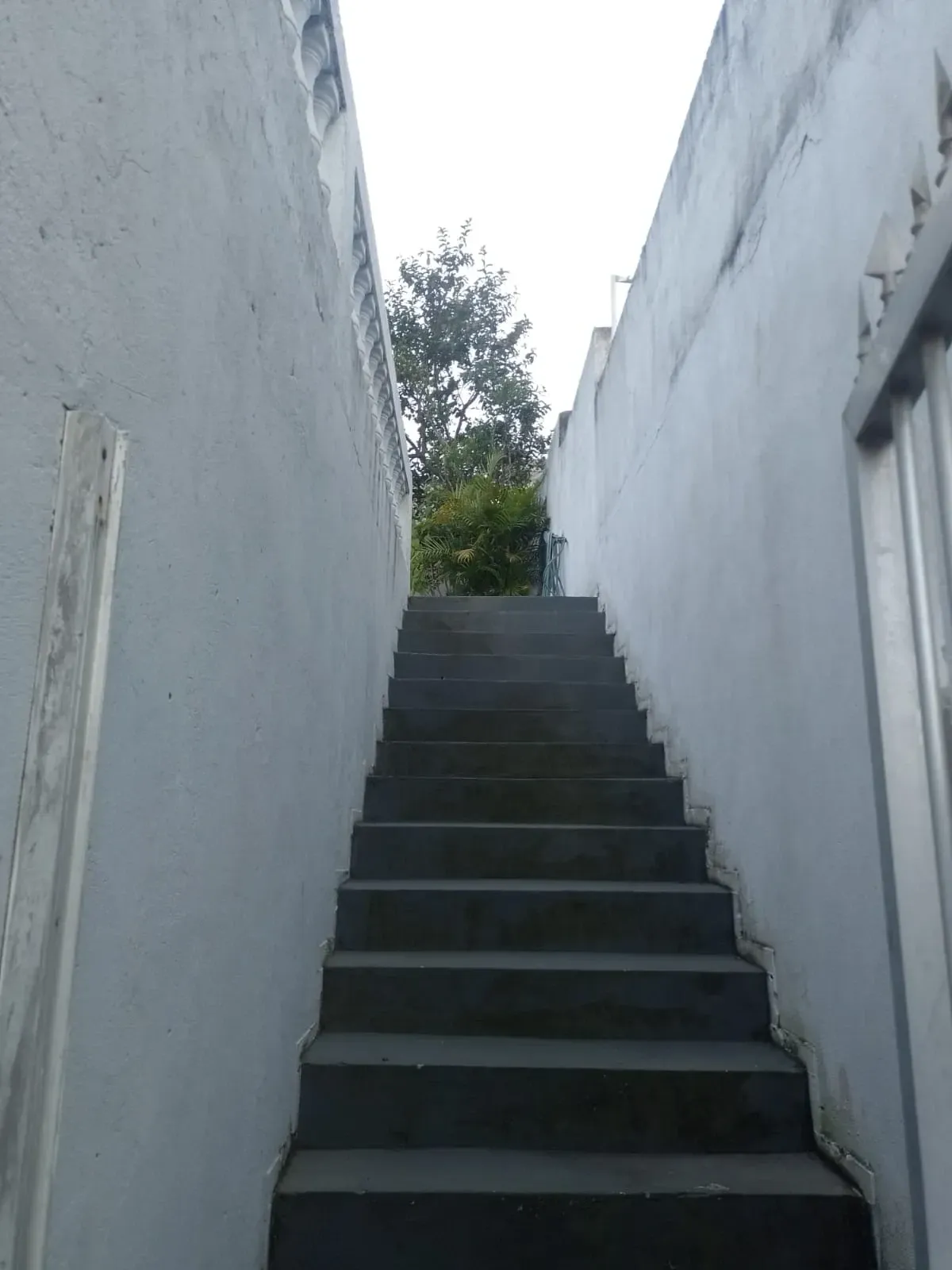 Imagem Casa com 3 Quartos à Venda, 300 m² em Colônia - Ribeirão Pires